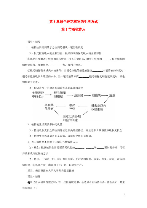 2023七年级生物上册第3单元第5章绿色开花植物的生活方式第3节吸收作用课堂精练新版北师大版