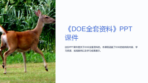 《DOE资料》课件