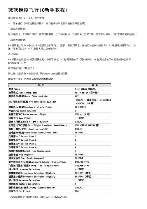 微软模拟飞行10新手教程1