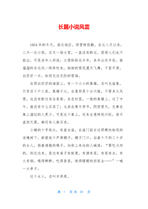 长篇小说风雷