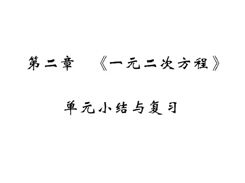 北师大版九年级数学上册课件：第二章 单元小结与复习(共25张PPT)