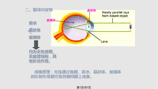 眼球内容物PPT课件