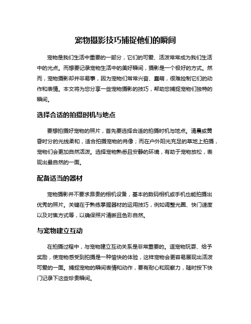 宠物摄影技巧捕捉他们的瞬间