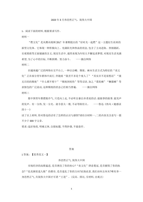 2019届高三语文二轮复习作文审题立意特训10：养浩然正气筑伟大中国