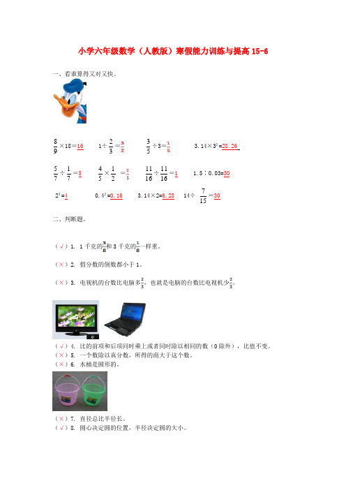 六年级数学寒假能力训练与提高15-6 人教版 Word版 含答案