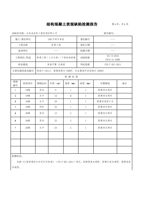 裂缝报告