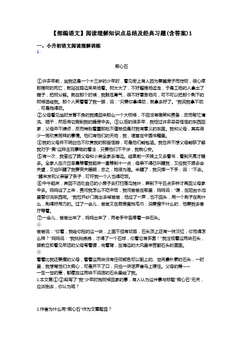 小升初【部编语文】阅读理解知识点总结及经典习题(含答案)1