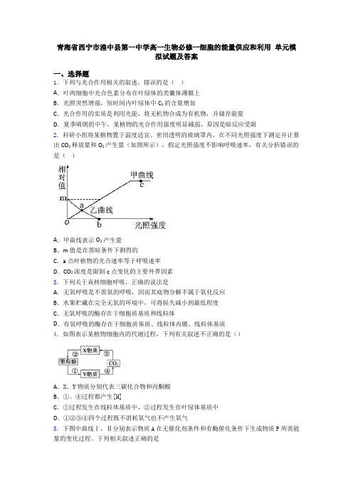 青海省西宁市湟中县第一中学高一生物必修一细胞的能量供应和利用 单元模拟试题及答案