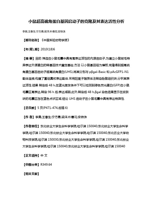 小鼠超高硫角蛋白基因启动子的克隆及其表达活性分析