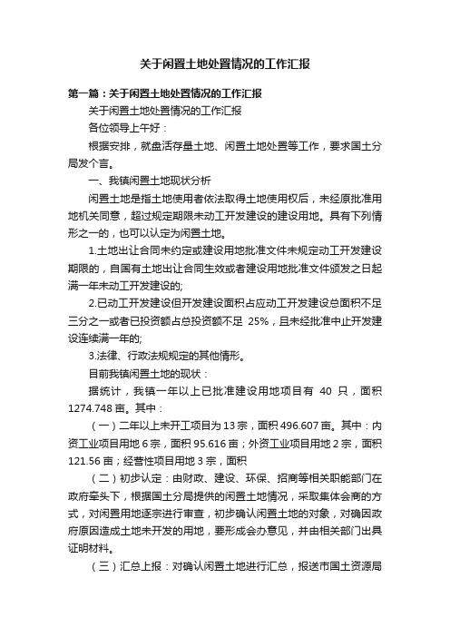 关于闲置土地处置情况的工作汇报