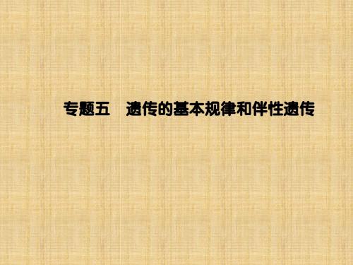 高考生物二轮复习 专题辅导与训练 第一部分 专题整合篇 专题五 遗传的基本规律和伴性遗传名师精编课件