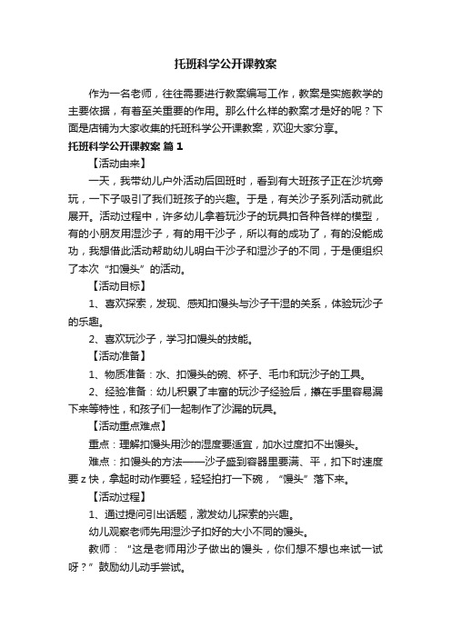 托班科学公开课教案