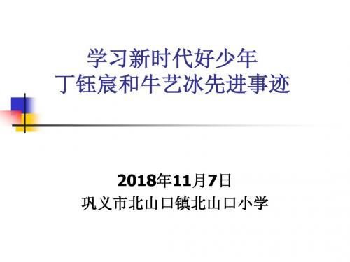 学习新时代好少年丁钰宸和牛艺冰先进事迹