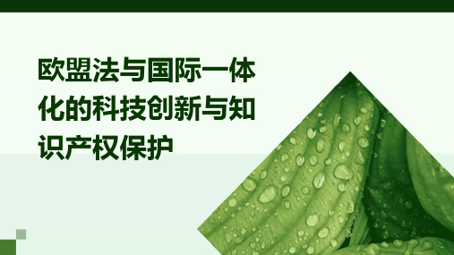 欧盟法与国际一体化的科技创新与知识产权保护