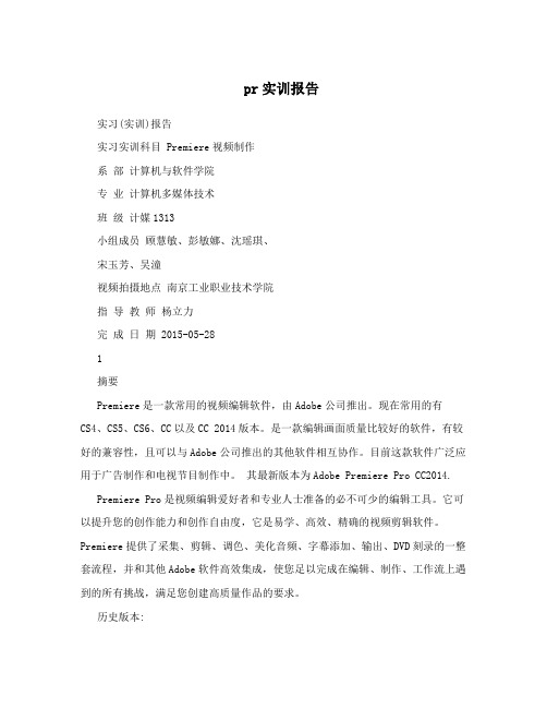 pr实训报告
