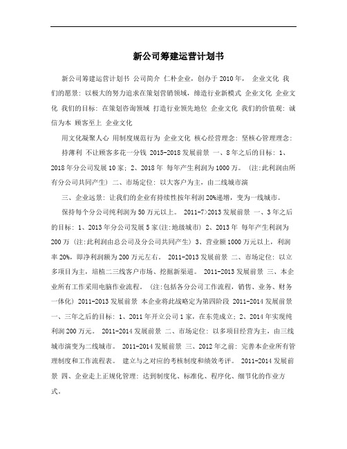 新公司筹建运营计划书