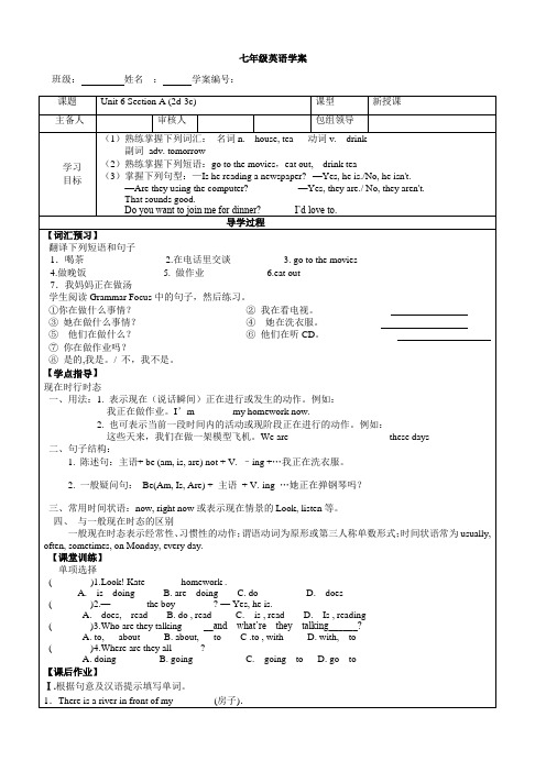 人教版英语七年级下册 Section A (2d-3c)