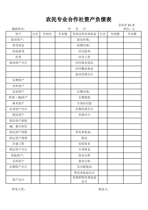 农民专业合作社资产负债表