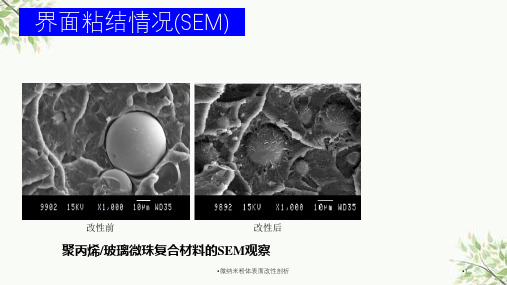 微纳米粉体表面改性剖析课件