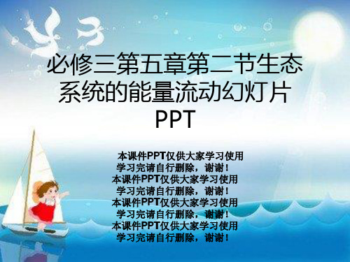 必修三第五章第二节生态系统的能量流动幻灯片PPT