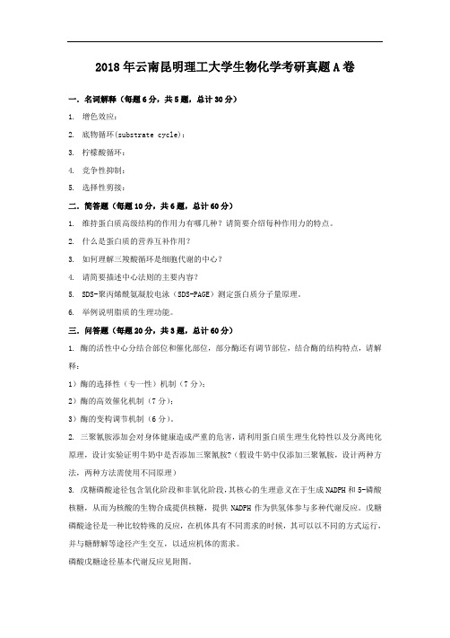 2018年云南昆明理工大学生物化学考研真题A卷