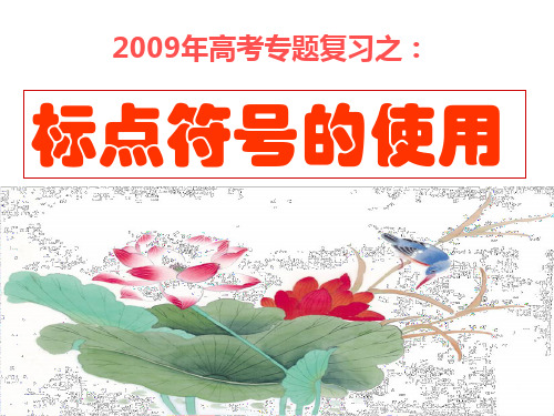 20010年高考专题复习之标点符号专题【修订演示版】