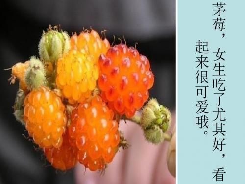 《怪异水果》PPT课件