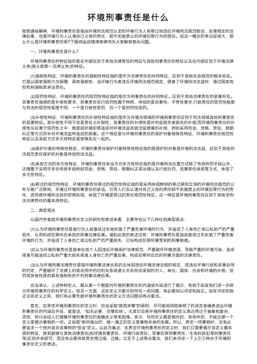 环境刑事责任是什么