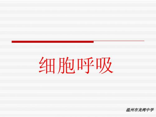 人教版教学课件浙江省温州市龙湾中学高中生物 必修一《细胞呼吸》复习课件