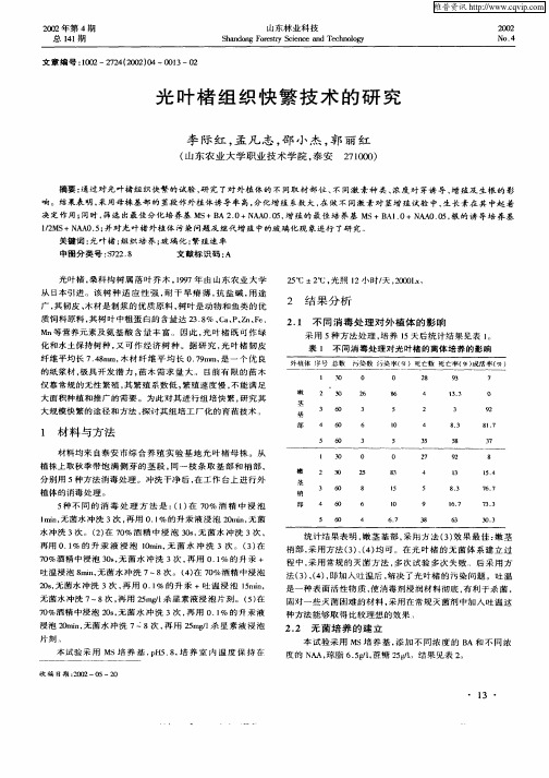 光叶楮组织快繁技术的研究