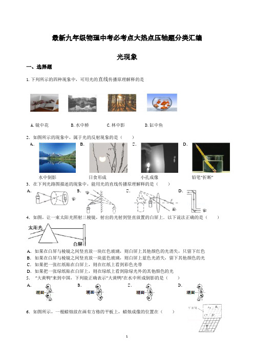 最新九年级物理中考必考点大热点压轴题分类汇编 光现象