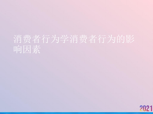 消费者行为学消费者行为的影响因素2021推荐ppt