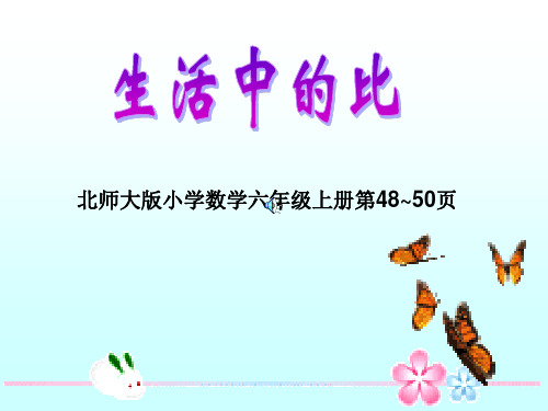 《生活中的比》课件1