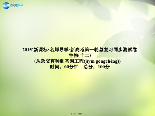 高考生物一轮总复习 从杂交育种到基因工单元同步测试课件 新人教版