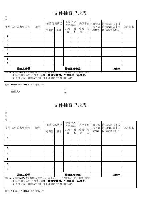 文件抽查记录表