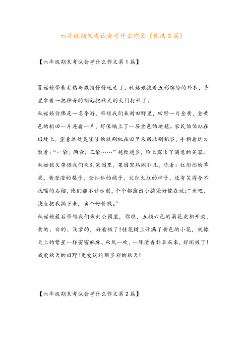 六年级期末考试会考什么作文(优选3篇)