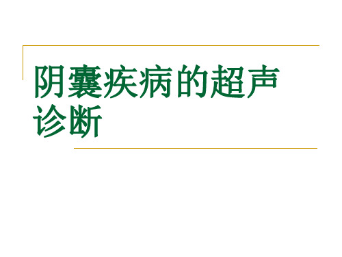 最新 阴囊疾病的超声诊断