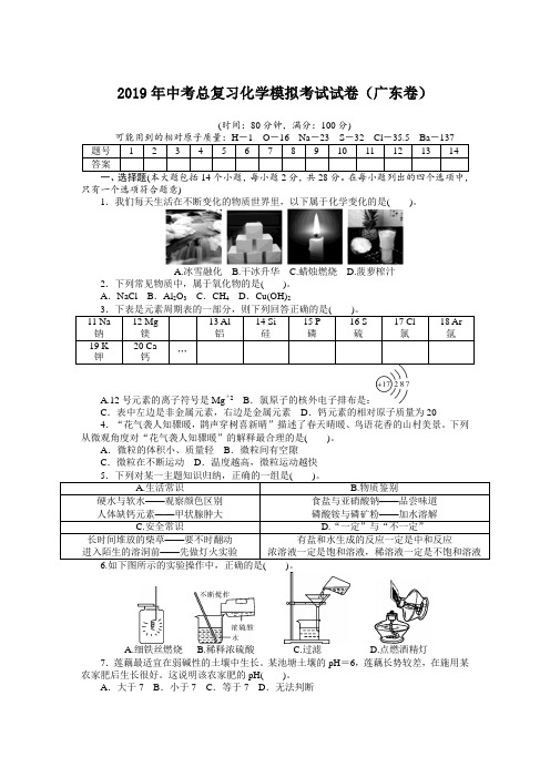 2019年中考总复习化学模拟考试试题带答案