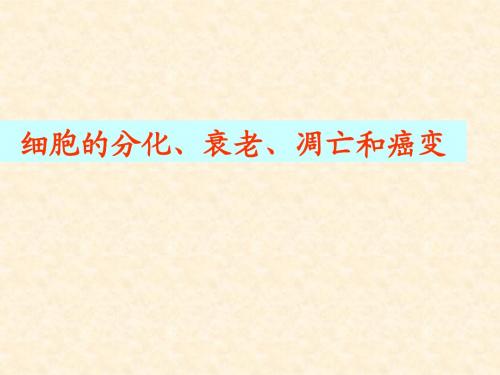 细胞的分化、衰老、凋亡和癌变