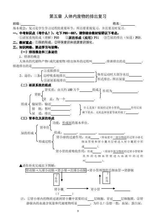 《第五章-人体内废物的排出》复习与练习(二)