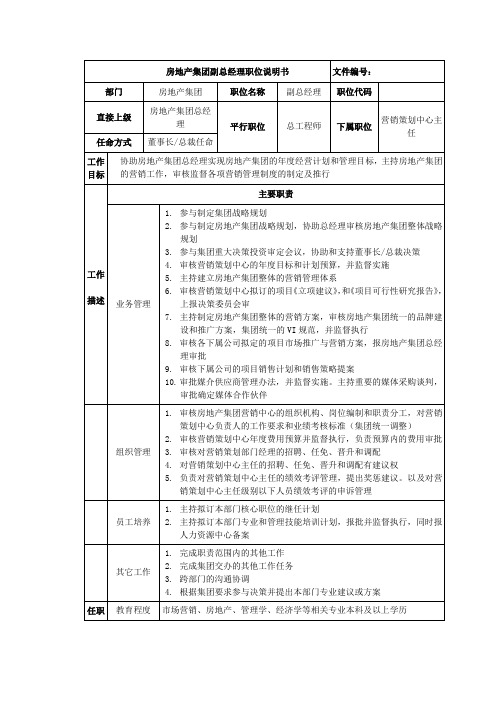 房地产集团副总经理岗位说明书.doc