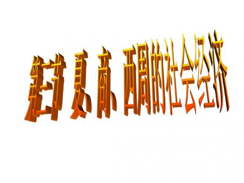 夏-商-西周的社会经济