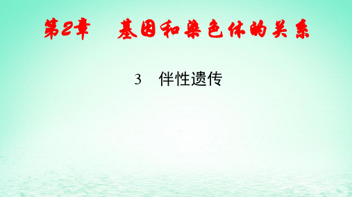 新教材高中生物第2章基因和染色体的关系3伴性遗传pptx课件新人教版必修2