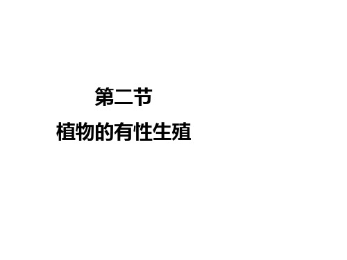 第二节植物的有性生殖  课件  2021-2022学年苏教版生物八年级下册