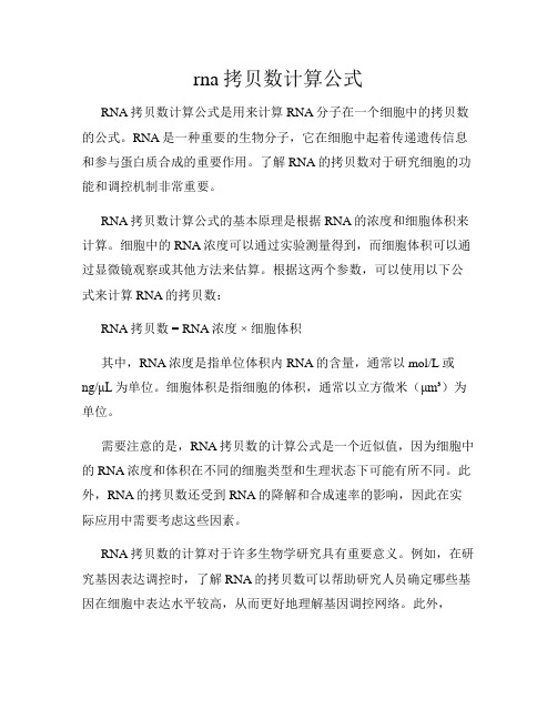 rna拷贝数计算公式