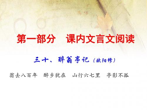 2020年中考语文古诗文阅读复习课件：课内文言文 9上 30. 醉翁亭记(共75张PPT)