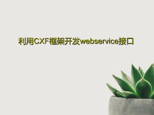 利用CXF框架开发webservice接口共32页文档