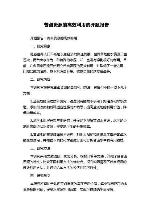 苦卤资源的高效利用的开题报告