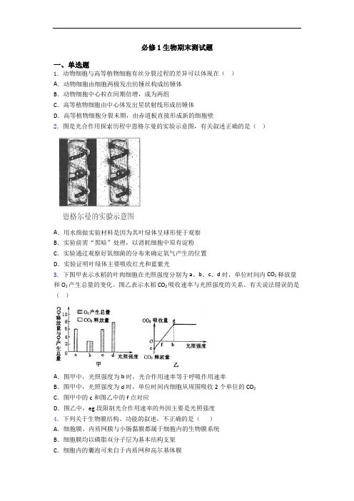 必修1生物期末测试题