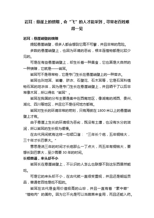 岩耳：悬崖上的馈赠，会“飞”的人才能采到，寻常老百姓难得一见